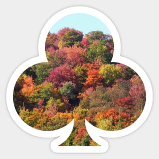 Fall Colour Explosion Sticker